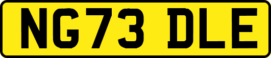 NG73DLE