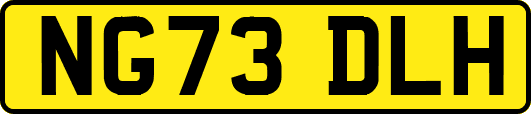 NG73DLH