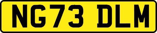NG73DLM