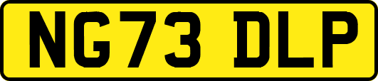 NG73DLP