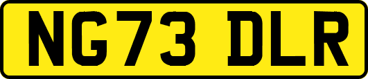 NG73DLR
