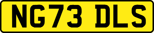NG73DLS