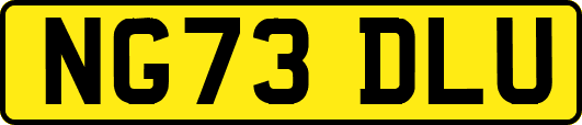 NG73DLU