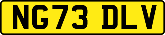 NG73DLV
