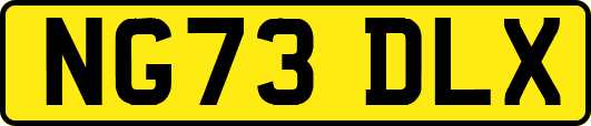 NG73DLX