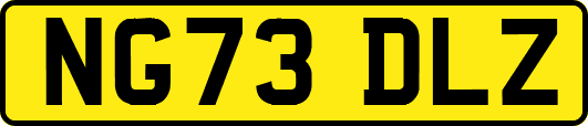 NG73DLZ