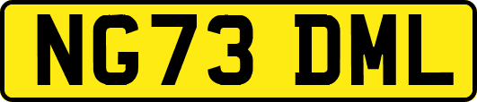 NG73DML