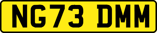 NG73DMM