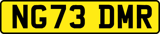 NG73DMR