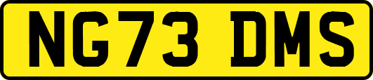 NG73DMS