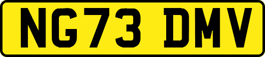 NG73DMV