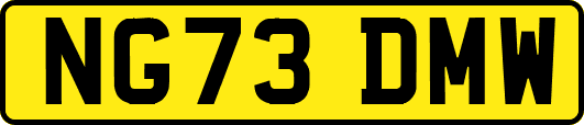 NG73DMW