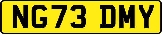 NG73DMY