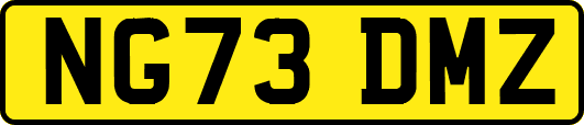 NG73DMZ