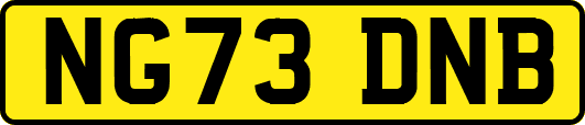 NG73DNB
