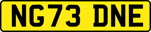 NG73DNE