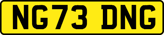 NG73DNG