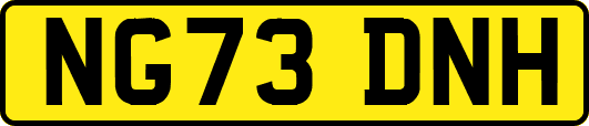 NG73DNH