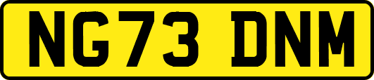 NG73DNM