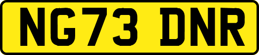 NG73DNR