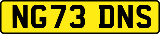 NG73DNS