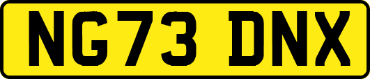 NG73DNX