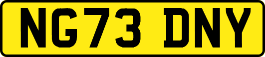 NG73DNY