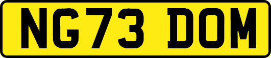 NG73DOM