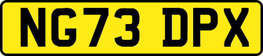 NG73DPX
