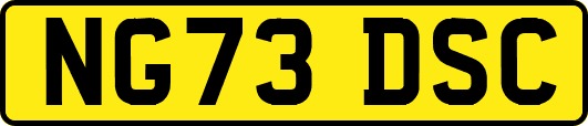 NG73DSC