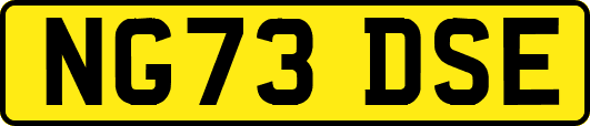 NG73DSE