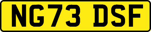 NG73DSF