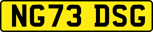 NG73DSG