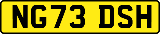 NG73DSH