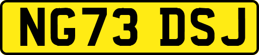 NG73DSJ