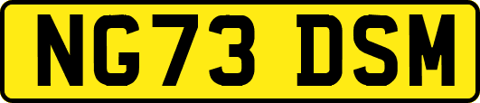 NG73DSM