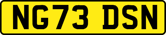 NG73DSN