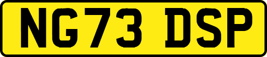 NG73DSP