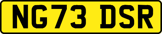 NG73DSR