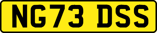 NG73DSS