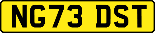 NG73DST
