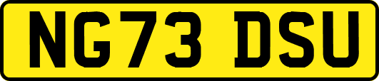 NG73DSU