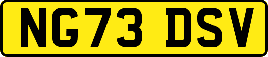 NG73DSV