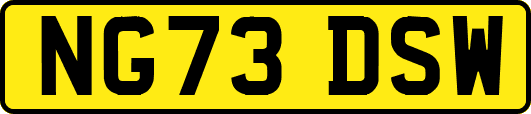 NG73DSW