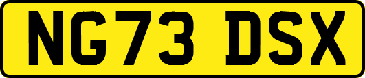 NG73DSX