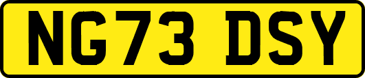 NG73DSY
