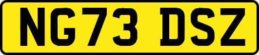 NG73DSZ