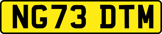NG73DTM