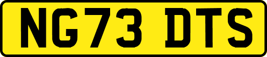 NG73DTS