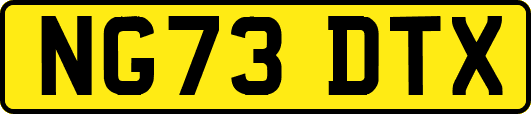 NG73DTX